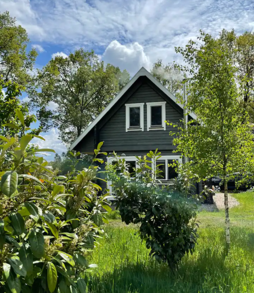 Wunderschönes Ferienhaus an zauberhaftem See - Blockhütten zur Miete in Wiefelstede , NDS, Deutschland